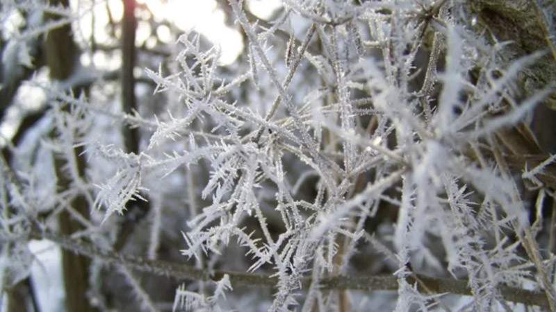 Екстремен студ: В Якутск отчетоха -45°C