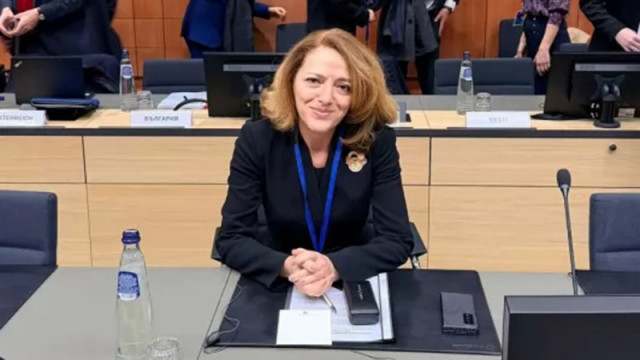 Заместник министърът на външните работи Елена Шекерлетова участва в редовното