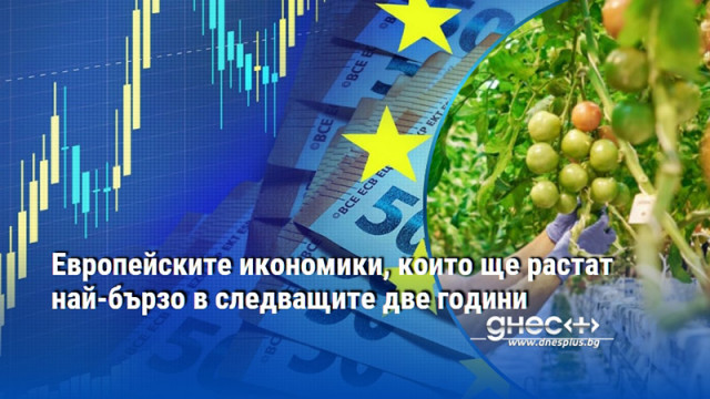 ОИСР прогнозира умерен растеж с ясни разлики между отделните държави