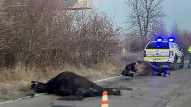 Движението по пътя Самоков София на излизане от Самоков в