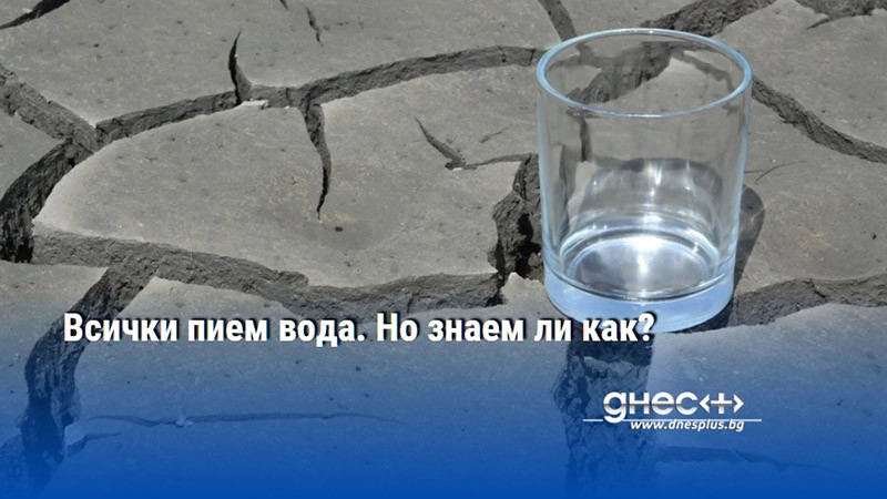 Всички пием вода. Но знаем ли как?