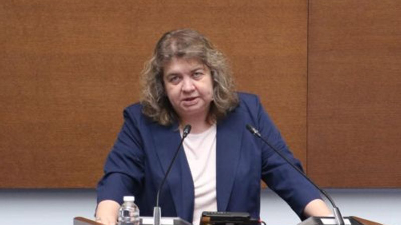 Киселова: Промените в Конституцията ще останат в историята като илюстрация на законодателен произвол