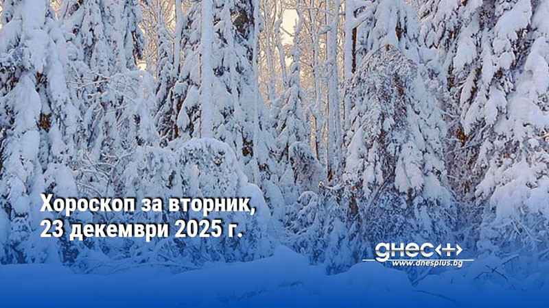 Хороскоп за вторник, 23 декември 2025 г.