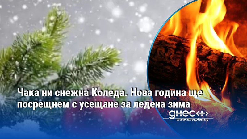 Чака ни снежна Коледа. Нова година ще посрещнем с усещане за ледена зима