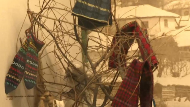 Елхата е задължителна част от коледните празници за всяко семейство