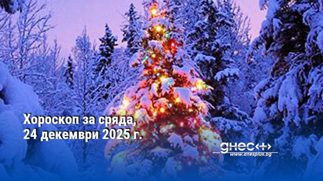 ОвенОвните са много решителни и също толкова несъобразителни и това