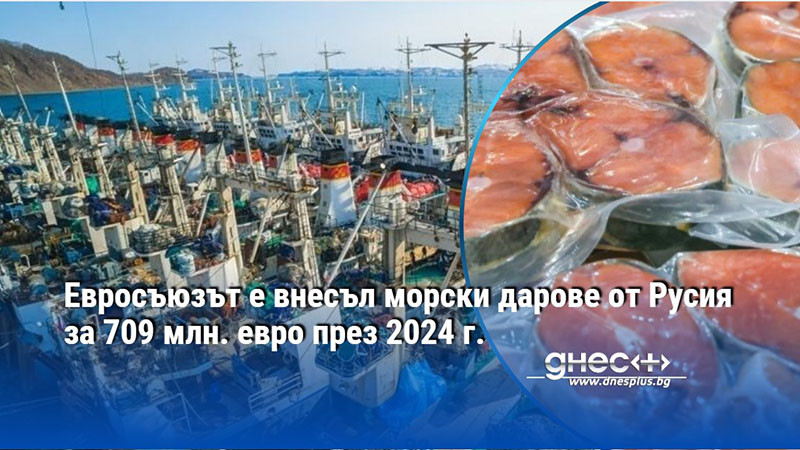Евросъюзът е внесъл морски дарове от Русия за 709 млн. евро през 2024 г.