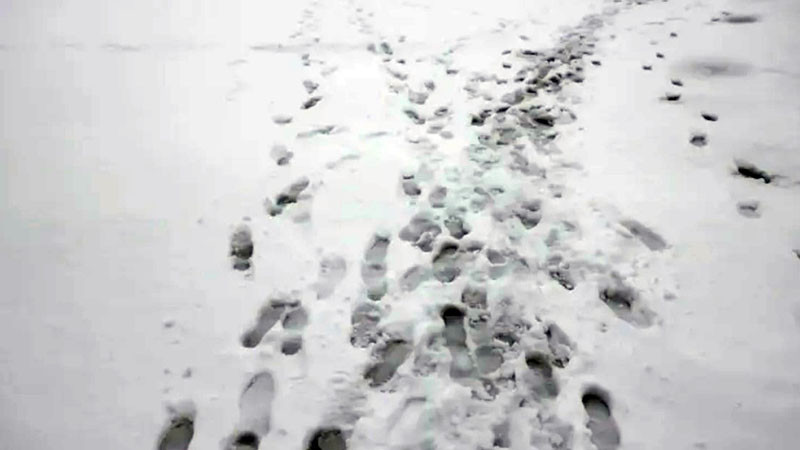 Двама туристи по анцунцзи и маратонки бяха спасени на Витоша