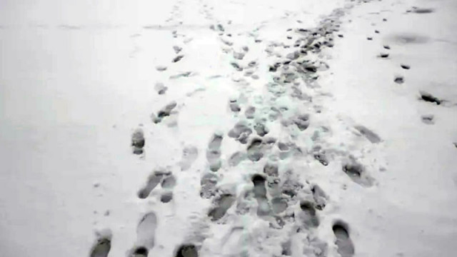 Двама недобре екипирани за зимни условия туристи са били транспортирани