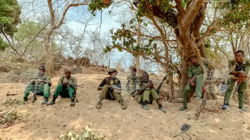 АП: За бойците на „Ислямска държава“, срещу които САЩ нанесоха въздушни удари в Нигерия