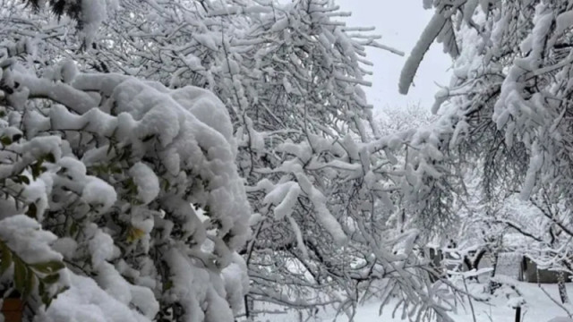 40 сантиметра снежна покривка затрупа Осоговската планина базите и хижите