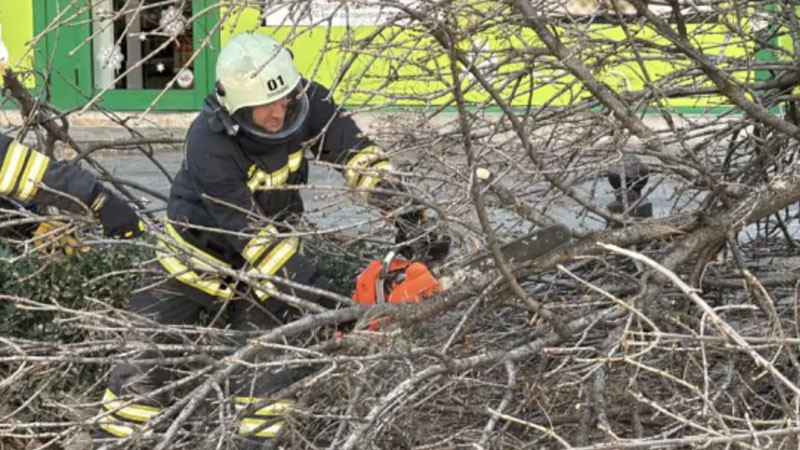 Силният вятър в Пловдив - паднали клони затрудниха движението по ключови булеварди