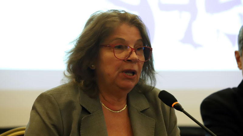 Румяна Дечева: Насилствено въвеждане на машинно гласуване не е добро решение