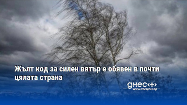Жълт код за силен вятър е обявен за днес в