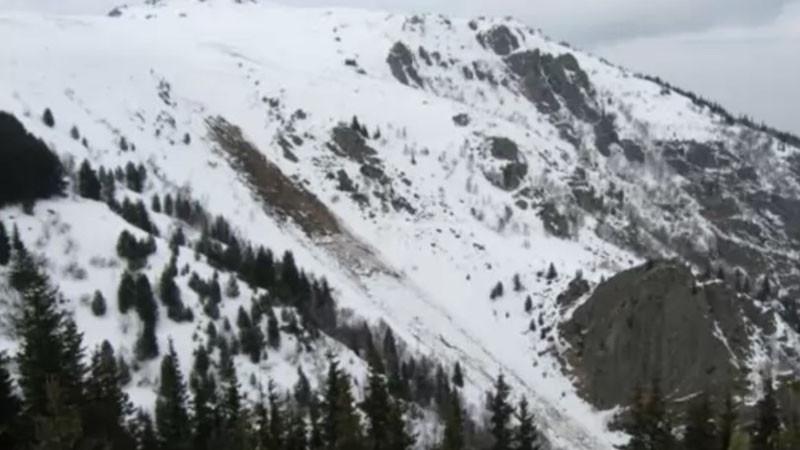 Издирват 22-годишен мъж на Витоша, изчезнал в района на Златните мостове