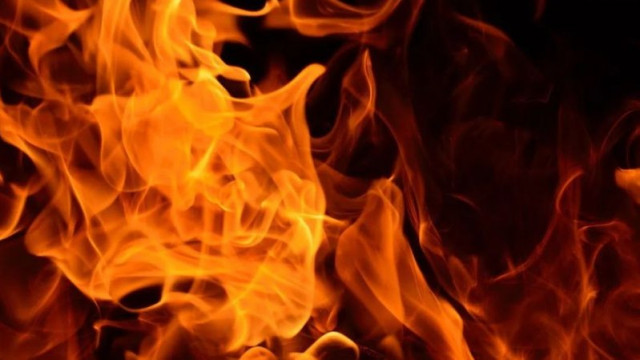 Общо 208 пожара са потушени в страната през последното денонощие