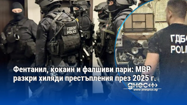 От януари до ноември са регистрирани 7450 престъпления свързани с