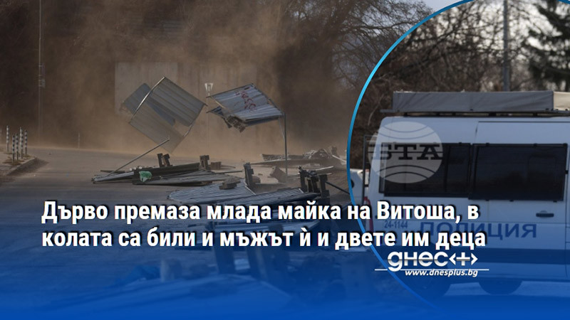 Дърво премаза млада майка на Витоша, в колата са били и мъжът ѝ и двете им деца