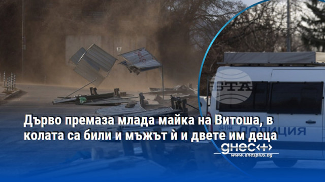 Майка на две деца почина след като дърво падна върху