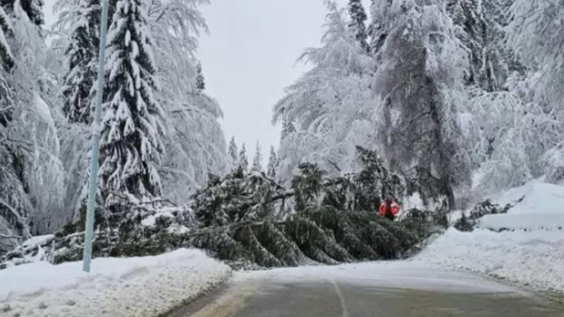 Затварят временно пътищата до Витоша заради силния вятър