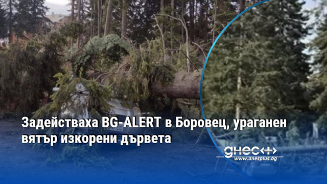 ПСС организира и безопасното извозване на малки деца и възрастни