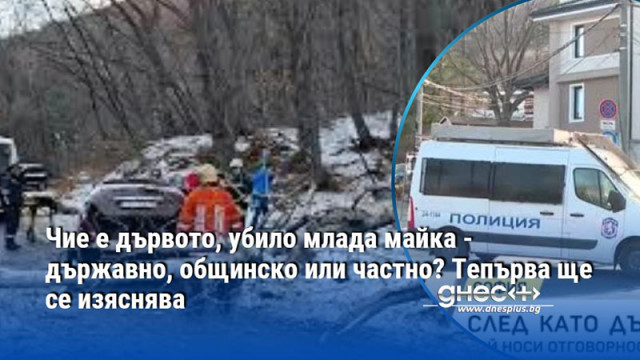 Нещастието стана малко преди 10 часа в събота сутринта Ден