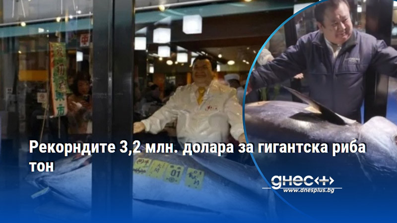 Рекорндите 3,2 млн. долара за гигантска риба тон