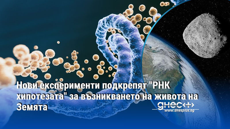 Нови експерименти подкрепят "РНК хипотезата" за възникването на живота на Земята