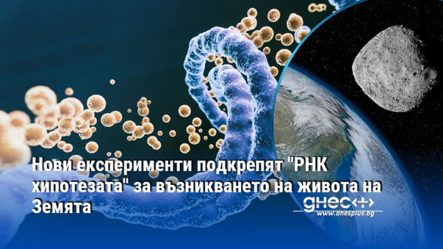 Всички основни съставки на РНК са открити в пробите от