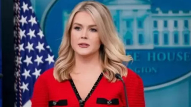 Потенциалната покупка на датския остров Гренландия от САЩ е обсъждана