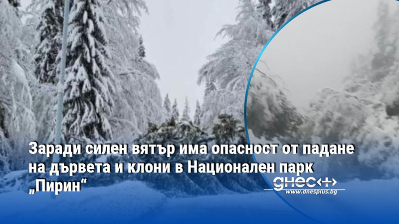 Заради силен вятър има опасност от падане на дървета и клони в Национален парк „Пирин“