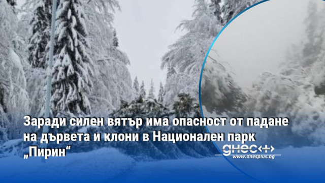 Поради бурни ветрове и силни пориви при навлизане в територията
