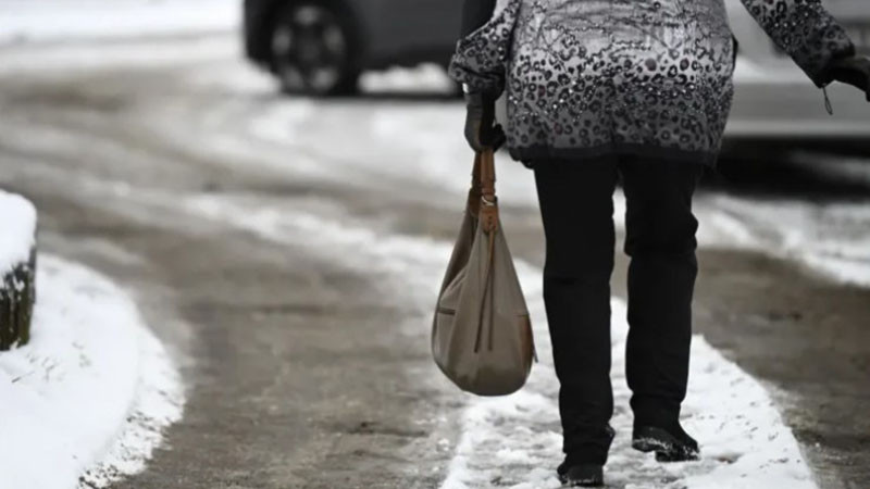 Стъпка тип "пингвин" - така се ходи по леда в мразовитите дни (ВИДЕО)