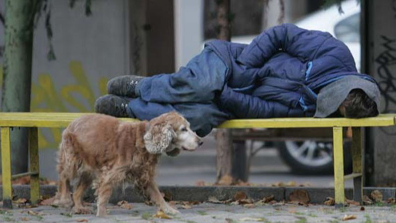 Все повече млади хора предпочитат Приюта за бездомни във Варна