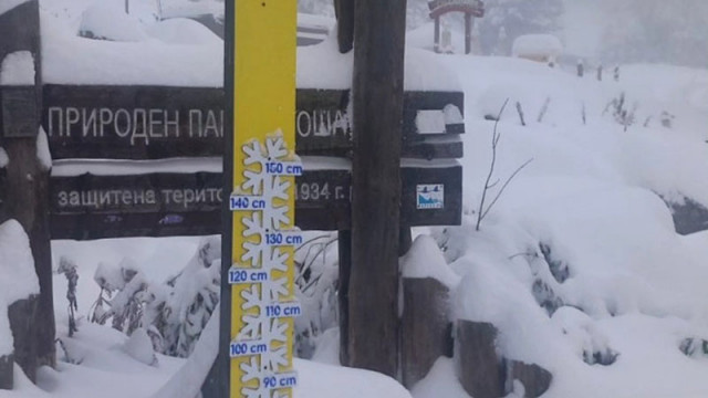 Във връзка с очакван снеговалеж и много ниски температури Столична