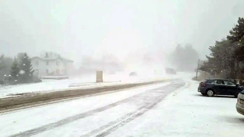 Обилен сняг вали в района на „Предела“, камионите са спрени