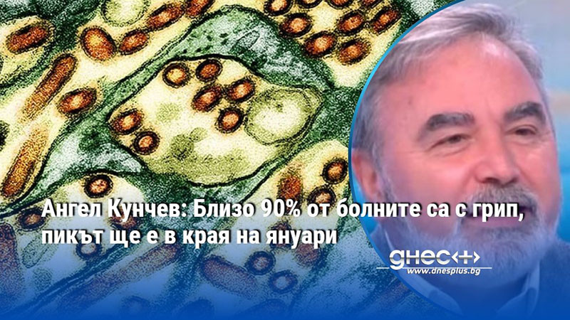 Ангел Кунчев: Близо 90% от болните са с грип, пикът ще е в края на януари