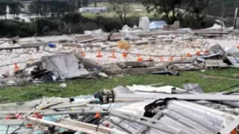 Вятър със 154,5 км/ч повали дървета в Гърция и преобърна самолети, торнадо хвана движещ се автомобил