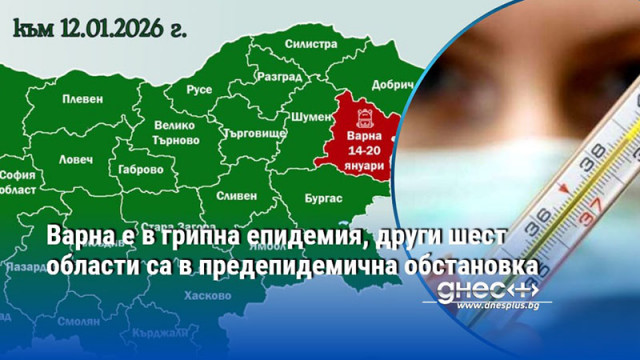 Варна е в грипна епидемия, други шест области са в предепидемична обстановка