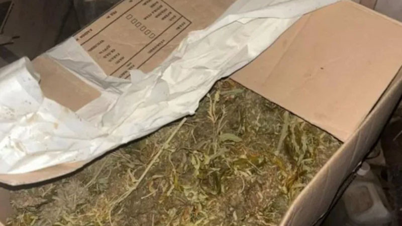 Хванаха 62-годишен мъж с марихуана в Поморие