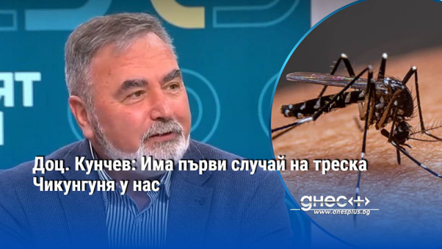 Първи случай на треска Чикунгуня е регистриран в България през