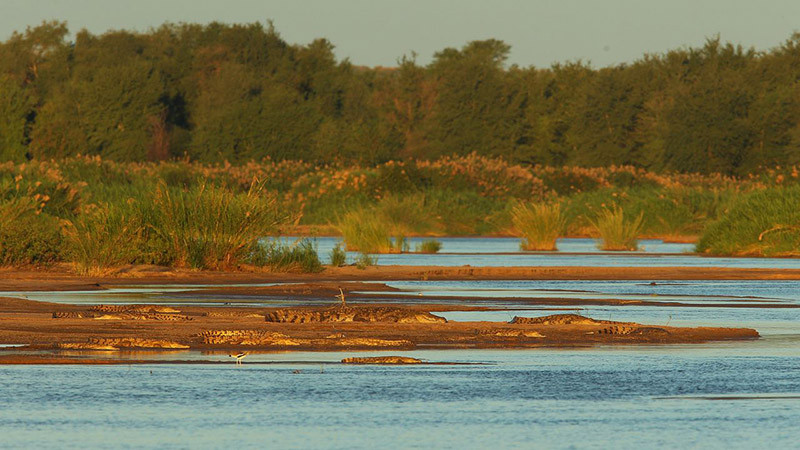 Наводнения в Южна Африка наложиха евакуации от Националния парк "Крюгер"