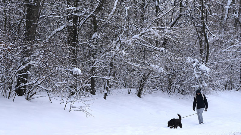Румъния очаква нова вълна сибирски студ със сняг, лед и