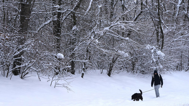 Румъния очаква нова вълна сибирски студ със сняг лед и