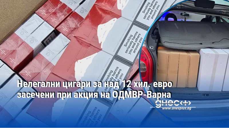 Нелегални цигари за над 12 хил. евро засечени при акция на ОДМВР-Варна