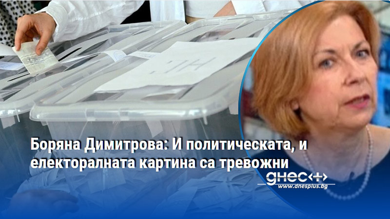 Боряна Димитрова: И политическата, и електоралната картина са тревожни