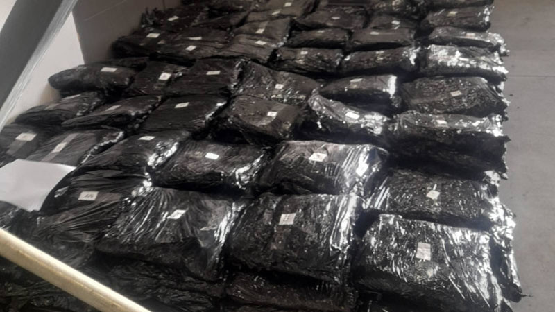 ГДБОП задържа 700 кг марихуана на МП "Лесово"