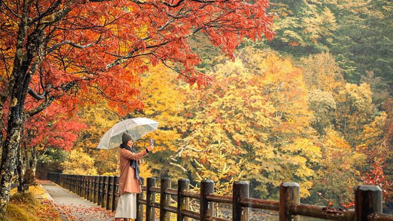 Рекордните 42,7 милиона чуждестрнни туристи са посетители Япония през 2025 г.