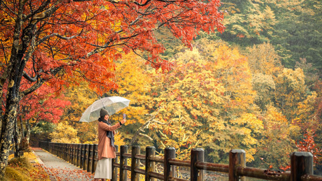 Япония посрещна рекорден брой чуждестранни посетители миналата година въпреки рязкото