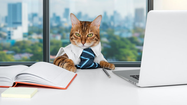 Известен автор показа колко лесно AI търсачката може да приеме